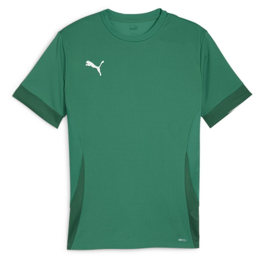 PUMA Training T-Shirt teamGOAL - Grün/Schwarz von PUMA