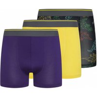 Parker & Fox Performance Kinder Boxershorts 3er-Pack PRXFA24B151642-014 Parker & Fox Performance Kinder Boxershorts 3er-Pack PRXFA24B151642-014 von Parker & Fox