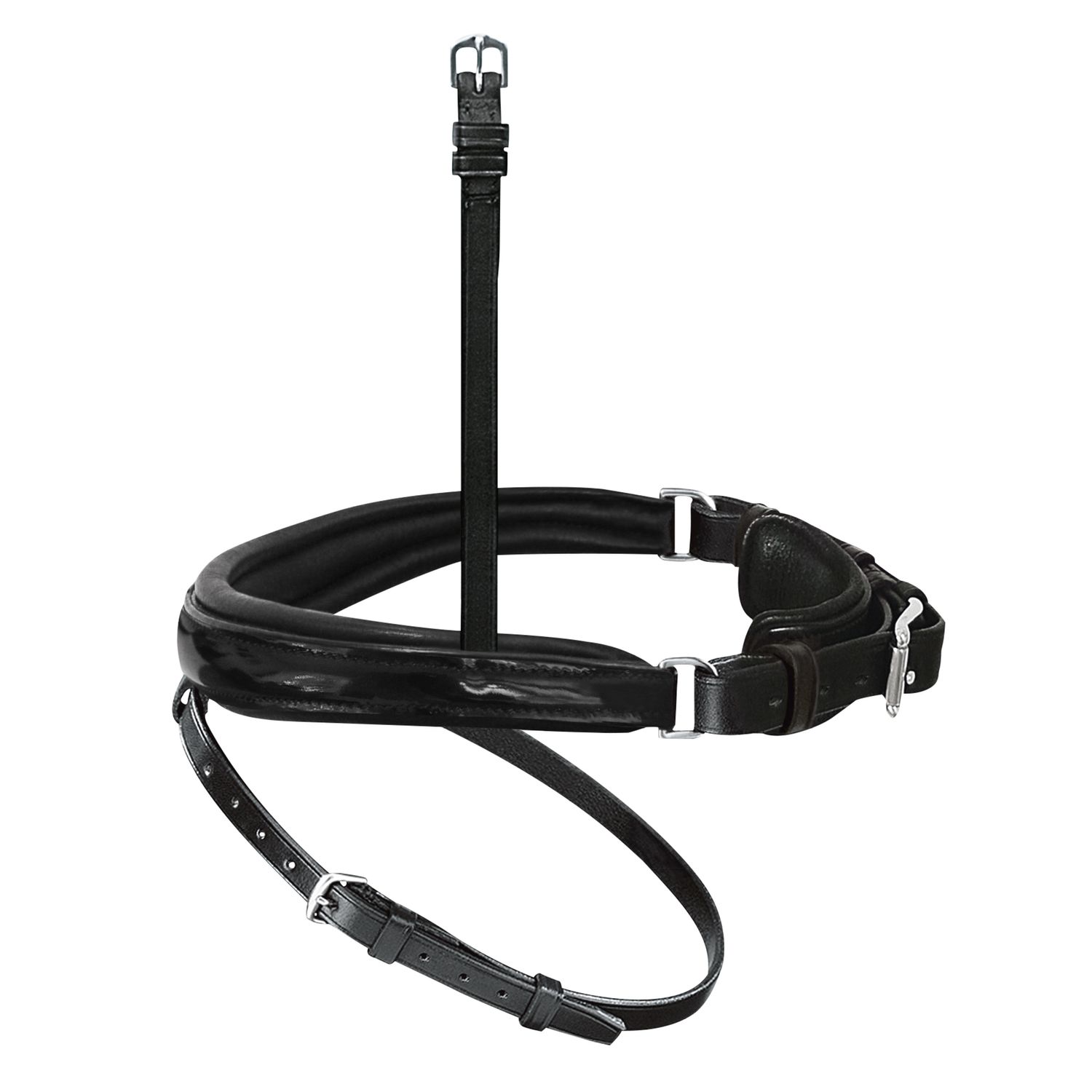Passier Anatomischer Wechselnasenriemen Reithalfter Spezial mit Lackleder Passier Anatomischer Wechselnasenriemen Reithalfter Spezial mit Lackleder von Passier