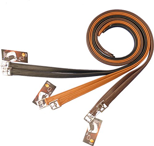 Passier Steigbügelriemen 'Soft Touch' mit Nyloneinlage in 3 Farben , Farbe:teak, Länge:160 cm Passier Steigbügelriemen 'Soft Touch' mit Nyloneinlage in 3 Farben , Farbe:teak, Länge:160 cm von Passier