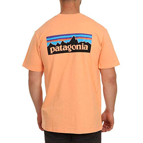 Patagonia Herren M's P-6 Logo Responsibili-Tee T-Shirt,Blau (break up blue),S von Patagonia