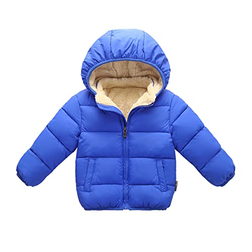 Sweatjacke Baby - Plüsch Bärenohren Baby Jacke Fleece Winterjacke, Niedlich Reißverschluss Steppjacke Mit Taschen Winter Langarm Übergangsjacke Leicht Sweatjacke Schneeanzüge Jacke Blau von Pdakieyxnd