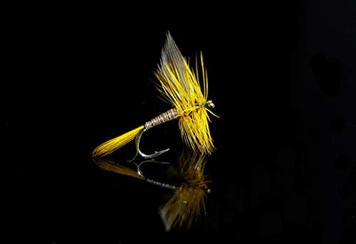 Pechetruite 2 x Trockenfliege - QUILL Ginger Serenity - Serenity Flies line - Forellen Fliegenfischen - 16 von Pechetruite