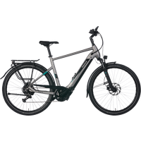 Pegasus Evo CX 750 Wh Herren silber 2024 von Pegasus