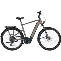 Pegasus Premio EVO 10 Lite 800 Wh Herren braun 2025 Pegasus Premio EVO 10 Lite 800 Wh Herren braun 2025 von Pegasus