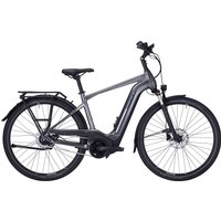 Pegasus Premio EVO 5F Lite 750 Wh Herren grau 2022/2023 von Pegasus