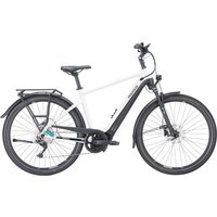 Pegasus Premio Evo 10 lite 750 Wh Herren weiß 2024 von Pegasus