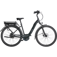 Pegasus Solero E8R Plus 500 Wh Damen schwarz 2024 von Pegasus