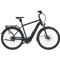 Pegasus Solero Evo 8R Limited 625 Wh Herren schwarz 2024 Pegasus Solero Evo 8R Limited 625 Wh Herren schwarz 2024 von Pegasus