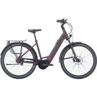 Pegasus Strong Evo 5R 750 Wh Damen rot 2024 von Pegasus