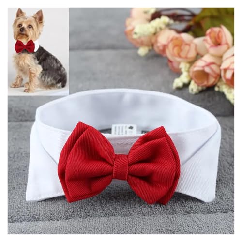 Pengchang 1PC Haustiere Welpen Hunde Katzen Einstellbare Fliege Kragen Krawatte Bowknot Bowtie Urlaub Hochzeit Dekoration Pflege Zubehör(Red,L) von Pengchang