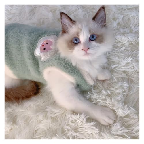 Pengchang Katzenzubehör Haustiere Warme Kätzchenkleidung for den Winter Kätzchen Kleines Kätzchenzubehör Bekleidung Kühlende Kleidung Hundepullover Westen(Green,XL) von Pengchang