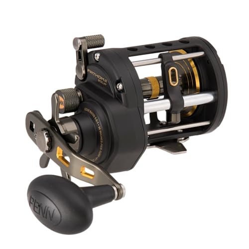 PENN Fathom II Level Wind Multirollen PENN Fathom II Level Wind Multirollen von Penn