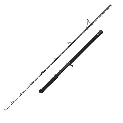 PENN Regiment IV Jig 6Ft F 30-50Lb C 1Sec Conv von Penn