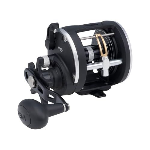 PENN Rival Level Wind Rollen PENN Rival Level Wind Rollen von Penn