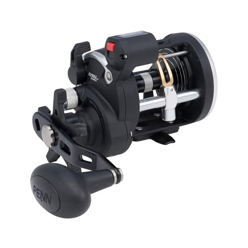 PENN Rival Level Wind Rollen, 20| Right |5.1:1 |540g PENN Rival Level Wind Rollen, 20| Right |5.1:1 |540g von Penn