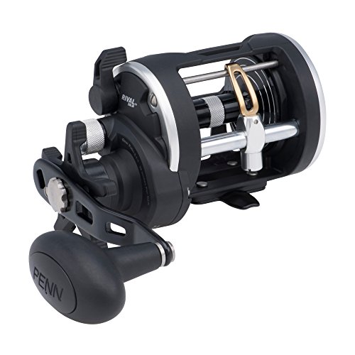 PENN Rival Level Wind Rollen, Schwarz/Silber PENN Rival Level Wind Rollen, Schwarz/Silber von Penn