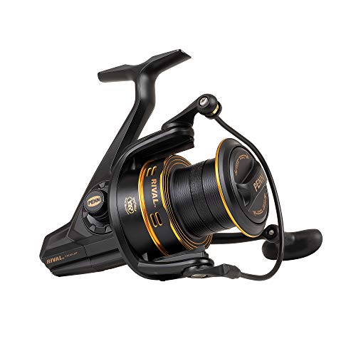 PENN 1524488 Rival Longcast angelrollen, 8000, Gold PENN 1524488 Rival Longcast angelrollen, 8000, Gold von Penn