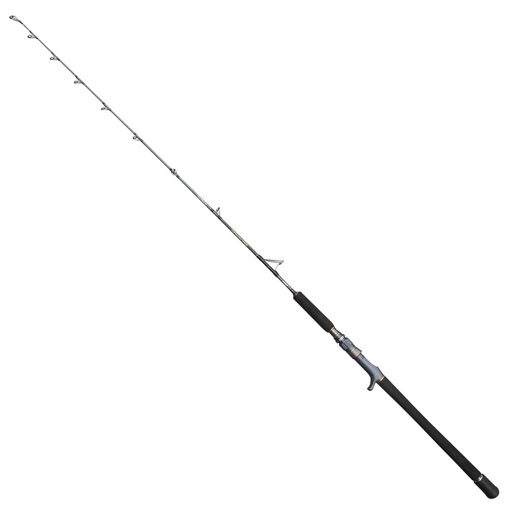 Penn Battalion Solid Boat Spiral Jig Baitcasting Rod Silber 1.70 m / 500 g von Penn