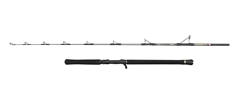 Penn Regiment IV Jig Cast Angelrute, Salzwasserangler Angeln Seefisch Kabeljau, Aal, Barsch, Seelachs, Makrele, Hai, Starkes Leichtgewicht & Vielseitig, Silber, 2.40m schnelle beidhändige Rute Penn Regiment IV Jig Cast Angelrute, Salzwasserangler Angeln Seefisch Kabeljau, Aal, Barsch, Seelachs, Makrele, Hai, Starkes Leichtgewicht & Vielseitig, Silber, 2.40m schnelle beidhändige Rute von Penn