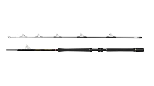 Penn Regiment IV Roller Bootsrute, Salzwasser Angler Angeln Seefisch Kabeljau, Aal, Barsch, Seelachs, Makrele, Hai, Starkes Leichtgewicht & Vielseitig, Silber, 2.00m Mäßig Schnelle Beidhändige Rute Penn Regiment IV Roller Bootsrute, Salzwasser Angler Angeln Seefisch Kabeljau, Aal, Barsch, Seelachs, Makrele, Hai, Starkes Leichtgewicht & Vielseitig, Silber, 2.00m Mäßig Schnelle Beidhändige Rute von Penn