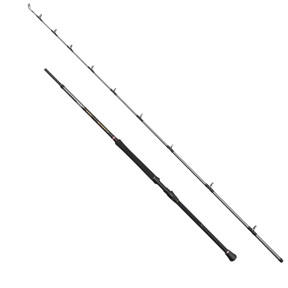 Penn Regiment Iv Boat Braid Spinning Rod Silber 2.49 m / 20-30 Lbs Penn Regiment Iv Boat Braid Spinning Rod Silber 2.49 m / 20-30 Lbs von Penn