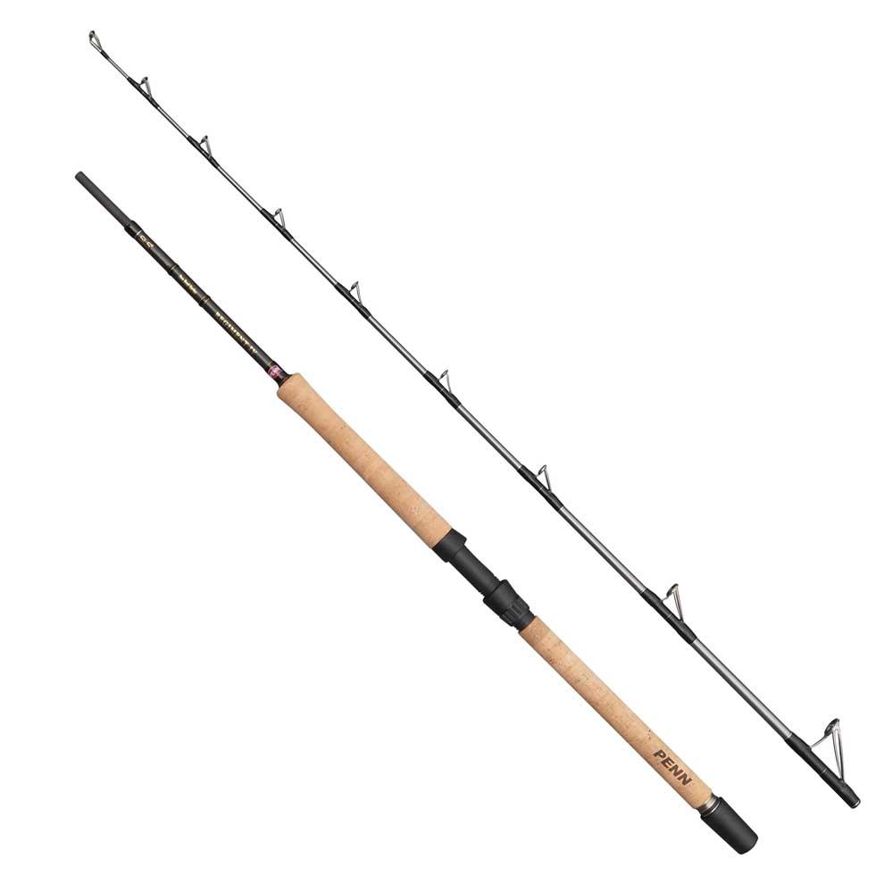 Penn Regiment Iv Pro Boat Spinning Rod  2.10 m / 12-20 Lbs von Penn