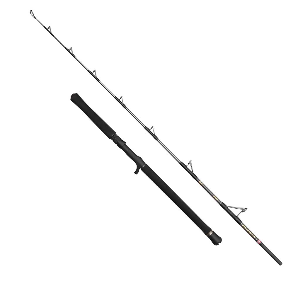 Penn Regiment Iv Spinning Rod Silber 2.40 m / 20-30 Lbs von Penn