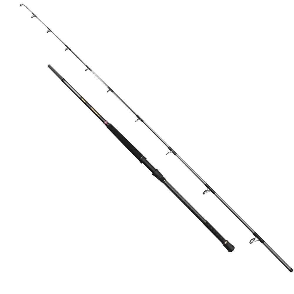 Penn Regiment Iv Uptide Spinning Rod Silber 3.04 m / 70 -300 g Penn Regiment Iv Uptide Spinning Rod Silber 3.04 m / 70 -300 g von Penn