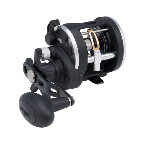 PENN Rival Level Wind Rollen PENN Rival Level Wind Rollen von Penn