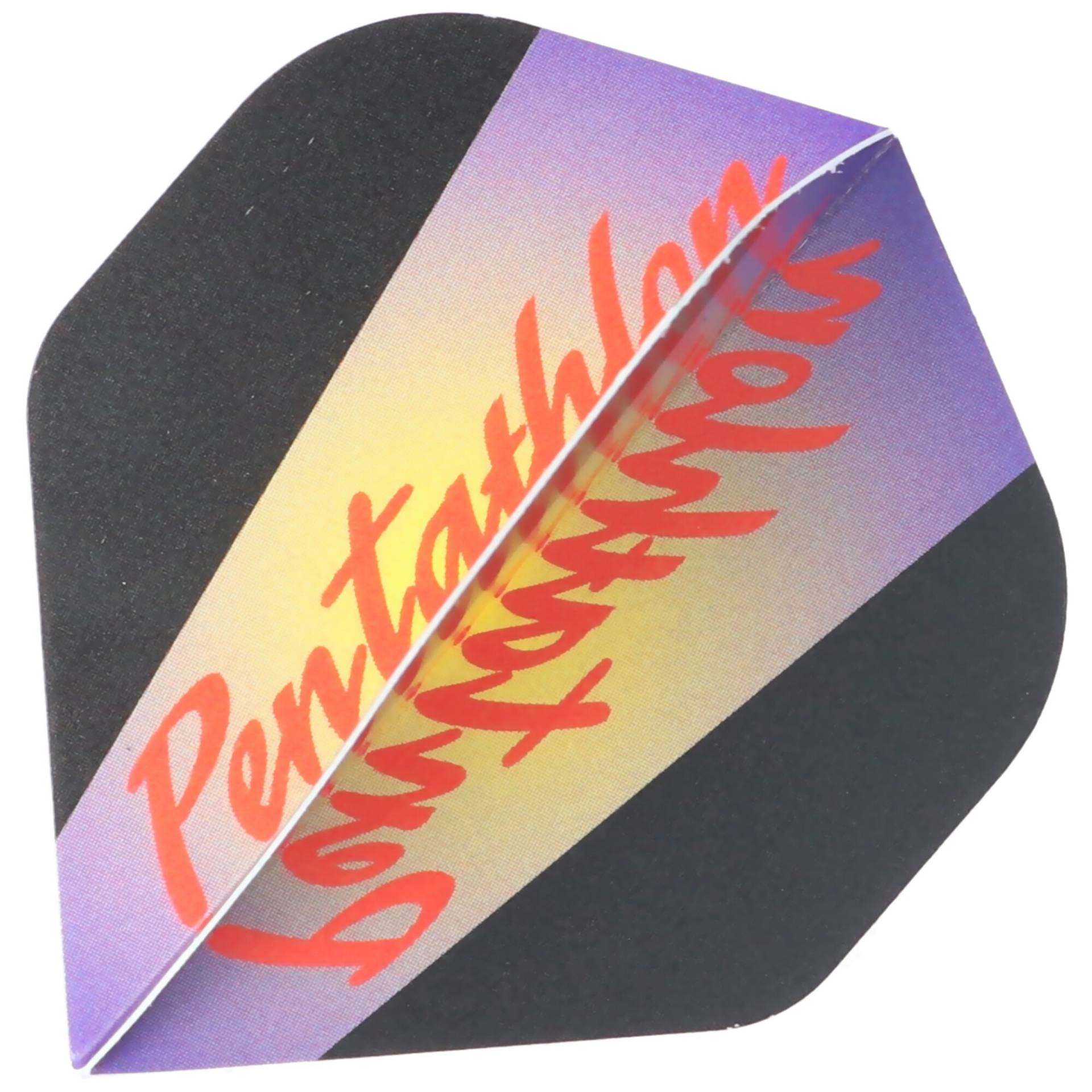 Pentathlon Flight Schriftzug, 3 Stück Pentathlon Flight Schriftzug, 3 Stück von Pentathlon