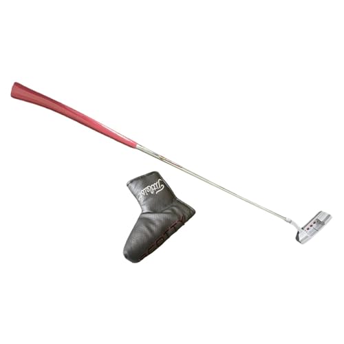 Perfeclan Golf-Putter für Erwachsene, rechte Hand, bequemer Griff, Golf-Trainingsgerät, Putting-Übungs-Mallet-Putter, Golf-Putting-Club, 33inch von Perfeclan