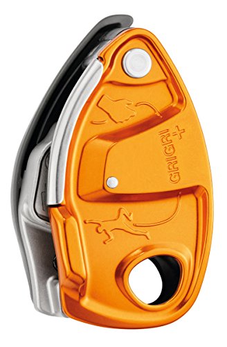 PETZL Unisex Grau Plus Petzl Sicherheitsschloss, Orange, Einheitsgröße von PETZL