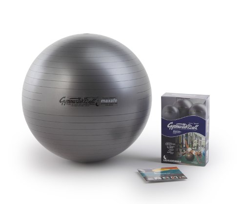 Pezzi ORIGINAL Gymnastik Ball Maxafe 65 cm grau *NEU* von Pezzi