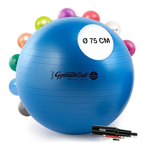 PEZZI Original Pezziball MAXAFE 65 cm m. Pumpe blau Gymnastikball von PEZZI