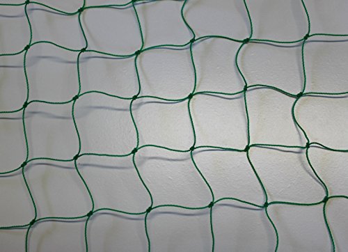 Pieloba Ballfangnetz - Ballnetz - Netz - grün - Masche 5 cm - Stärke: 1,2 mm - Größe: 3,00 m x 3,00 m von Pieloba