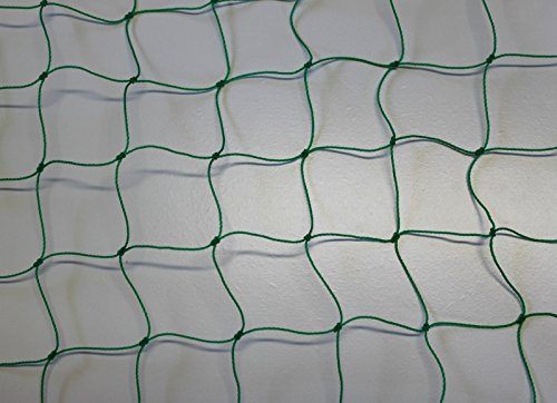 PieloBa Ballfangnetz - Ballnetz - Netz - grün - Masche 5 cm - Stärke: 1,2 mm - Größe: 3,00 m x 6 m PieloBa Ballfangnetz - Ballnetz - Netz - grün - Masche 5 cm - Stärke: 1,2 mm - Größe: 3,00 m x 6 m von PieloBa