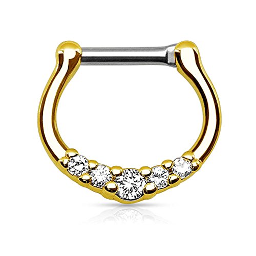 Piercingfaktor Piercing Ring Septum Tragus Helix Ohr Nase Lippe Brust Intim Nasenpiercing Nasenring Ohrpiercing Schild Clicker mit Strass Stein Gold 1,2mm Piercingfaktor Piercing Ring Septum Tragus Helix Ohr Nase Lippe Brust Intim Nasenpiercing Nasenring Ohrpiercing Schild Clicker mit Strass Stein Gold 1,2mm von Piercingfaktor