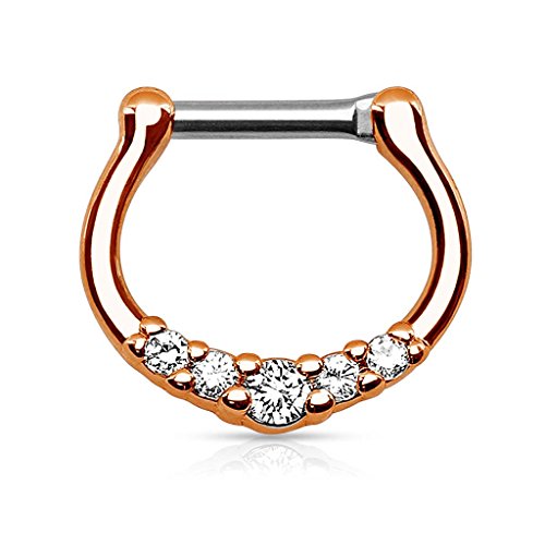 Piercingfaktor Piercing Ring Septum Tragus Helix Ohr Nase Lippe Brust Intim Nasenpiercing Nasenring Ohrpiercing Schild Clicker mit Strass Stein Rosegold 1,2mm Piercingfaktor Piercing Ring Septum Tragus Helix Ohr Nase Lippe Brust Intim Nasenpiercing Nasenring Ohrpiercing Schild Clicker mit Strass Stein Rosegold 1,2mm von Piercingfaktor