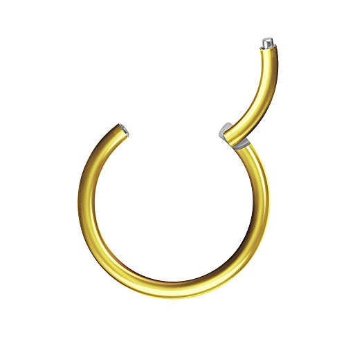 Piercingfaktor Universal Piercing Segmentring Scharnier Clicker Segment Ring Septum Tragus Helix Ohr Nase Lippe Brust Intim 1.6mm x 12mm Gold von Piercingfaktor