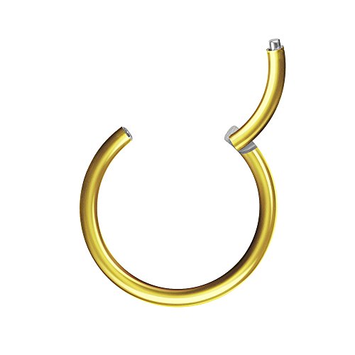 Piercingfaktor Universal Piercing Segmentring Scharnier Clicker Segment Ring Septum Tragus Helix Ohr Nase Lippe Brust Intim Gold 0.8mm x 8mm Piercingfaktor Universal Piercing Segmentring Scharnier Clicker Segment Ring Septum Tragus Helix Ohr Nase Lippe Brust Intim Gold 0.8mm x 8mm von Piercingfaktor