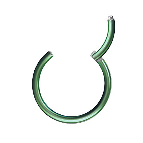 Piercingfaktor Universal Piercing Segmentring Scharnier Clicker Segment Ring Septum Tragus Helix Ohr Nase Lippe Brust Intim Grün 0.8mm x 8mm Piercingfaktor Universal Piercing Segmentring Scharnier Clicker Segment Ring Septum Tragus Helix Ohr Nase Lippe Brust Intim Grün 0.8mm x 8mm von Piercingfaktor