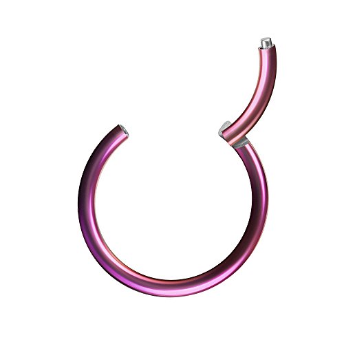 Piercingfaktor Universal Piercing Segmentring Scharnier Clicker Segment Ring Septum Tragus Helix Ohr Nase Lippe Brust Intim Lila 1.2mm x 6mm von Piercingfaktor