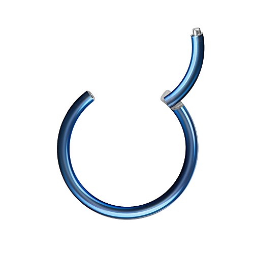 Piercingfaktor Universal Piercing Segmentring Scharnier Clicker Segment Ring Septum Tragus Helix Ohr Nase Lippe Nasenring Blau 0,8mm x 6mm Piercingfaktor Universal Piercing Segmentring Scharnier Clicker Segment Ring Septum Tragus Helix Ohr Nase Lippe Nasenring Blau 0,8mm x 6mm von Piercingfaktor