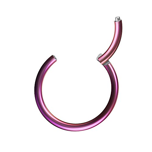 Piercingfaktor Universal Piercing Segmentring Scharnier Clicker Segment Ring Septum Tragus Helix Ohr Nase Lippe Nasenring Lila 0,8mm x 6mm Piercingfaktor Universal Piercing Segmentring Scharnier Clicker Segment Ring Septum Tragus Helix Ohr Nase Lippe Nasenring Lila 0,8mm x 6mm von Piercingfaktor