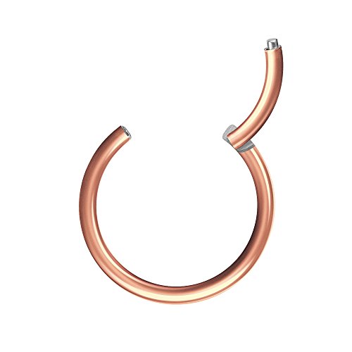 Piercingfaktor Universal Piercing Segmentring Scharnier Clicker Segment Ring Septum Tragus Helix Ohr Nase Lippe Nasenring Rosegold 1,0mm x 7mm Piercingfaktor Universal Piercing Segmentring Scharnier Clicker Segment Ring Septum Tragus Helix Ohr Nase Lippe Nasenring Rosegold 1,0mm x 7mm von Piercingfaktor