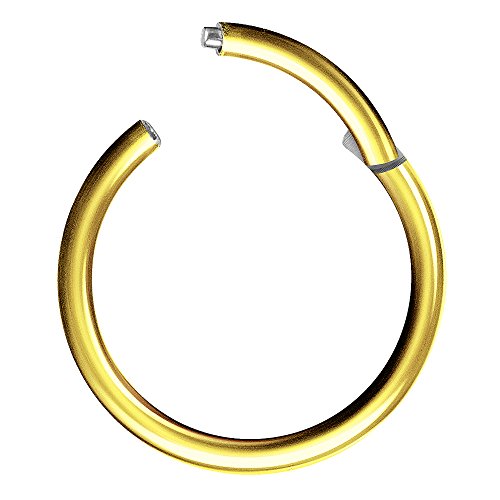 Piercingfaktor Universal Titan G23 Piercing Scharnier Clicker Ring Septum für Tragus Helix Ohr Nase Lippe Brust Intim Nippel Augenbrauen Gold Vergoldet1,0mm x 10mm Piercingfaktor Universal Titan G23 Piercing Scharnier Clicker Ring Septum für Tragus Helix Ohr Nase Lippe Brust Intim Nippel Augenbrauen Gold Vergoldet1,0mm x 10mm von Piercingfaktor