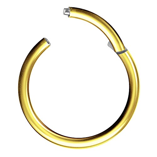 Piercingfaktor Universal Titan G23 Piercing Scharnier Clicker Ring Septum für Tragus Helix Ohr Nase Lippe Brust Intim Nippel Augenbrauen Gold Vergoldet1,2mm x 10mm von Piercingfaktor