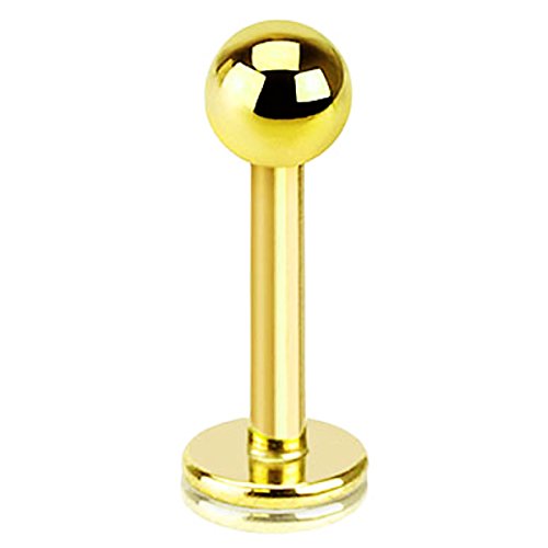 Piersando Piercing Stab Stecker Edelstahl Kugel für Lippen Lippe Labret Lippenpiercing Ohr Tragus Ohrpiercing Helix Nase Intim Zungen Nasen 1,2mm x 10mm x 4mm Gold Piersando Piercing Stab Stecker Edelstahl Kugel für Lippen Lippe Labret Lippenpiercing Ohr Tragus Ohrpiercing Helix Nase Intim Zungen Nasen 1,2mm x 10mm x 4mm Gold von Piersando