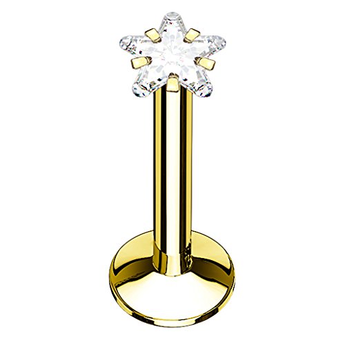 Piersando Piercing Stab Stecker Edelstahl Stern mit Kristall für Lippen Lippe Labret Lippenpiercing Ohr Tragus Ohrpiercing Helix Nase Intim Gold 6mm Stern Piersando Piercing Stab Stecker Edelstahl Stern mit Kristall für Lippen Lippe Labret Lippenpiercing Ohr Tragus Ohrpiercing Helix Nase Intim Gold 6mm Stern von Piersando
